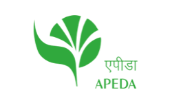 APEDA@1x