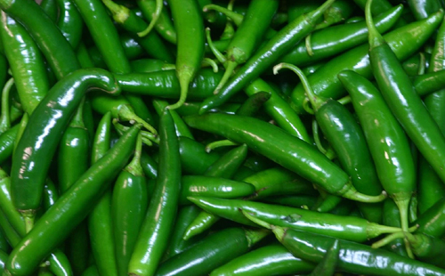 Green-Chilly