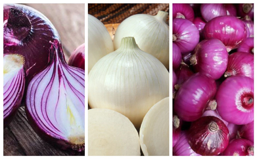 onion